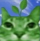 Mr Plant